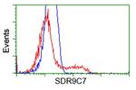 SDR9C7 Antibody in Flow Cytometry (Flow)