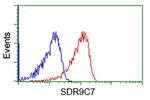 SDR9C7 Antibody in Flow Cytometry (Flow)