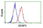 SENP2 Antibody in Flow Cytometry (Flow)