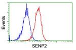 SENP2 Antibody in Flow Cytometry (Flow)