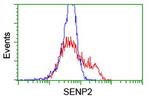 SENP2 Antibody in Flow Cytometry (Flow)