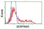 SERPINA5 Antibody in Flow Cytometry (Flow)