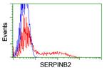 SERPINB2 Antibody in Flow Cytometry (Flow)