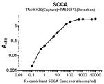 SERPINB3 Antibody in ELISA (ELISA)