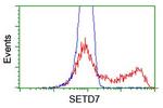 SETD7 Antibody in Flow Cytometry (Flow)