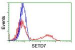 SETD7 Antibody in Flow Cytometry (Flow)