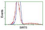 SIRT5 Antibody in Flow Cytometry (Flow)