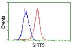 SIRT5 Antibody in Flow Cytometry (Flow)