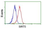 SIRT5 Antibody in Flow Cytometry (Flow)