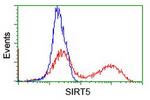 SIRT5 Antibody in Flow Cytometry (Flow)