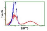 SIRT5 Antibody in Flow Cytometry (Flow)