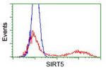 SIRT5 Antibody in Flow Cytometry (Flow)