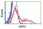 SIRT5 Antibody in Flow Cytometry (Flow)