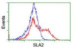 SLA2 Antibody in Flow Cytometry (Flow)
