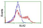 SLA2 Antibody in Flow Cytometry (Flow)