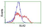 SLA2 Antibody in Flow Cytometry (Flow)