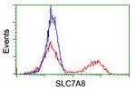 SLC7A8 Antibody in Flow Cytometry (Flow)