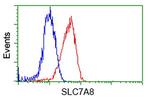 SLC7A8 Antibody in Flow Cytometry (Flow)