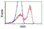 SMS Antibody in Flow Cytometry (Flow)