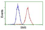 SMS Antibody in Flow Cytometry (Flow)