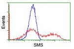 SMS Antibody in Flow Cytometry (Flow)