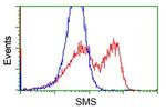 SMS Antibody in Flow Cytometry (Flow)