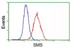 SMS Antibody in Flow Cytometry (Flow)