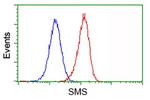 SMS Antibody in Flow Cytometry (Flow)