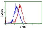 SMS Antibody in Flow Cytometry (Flow)