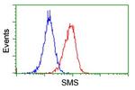 SMS Antibody in Flow Cytometry (Flow)