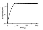 Mouse IgE VHH Secondary Antibody in Functional Assay (FN)