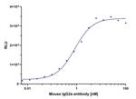 Mouse IgG2a, Fc-specific VHH Secondary Antibody in ELISA (ELISA)