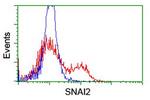 SNAI2 Antibody in Flow Cytometry (Flow)