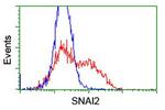 SNAI2 Antibody in Flow Cytometry (Flow)