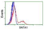 SNTA1 Antibody in Flow Cytometry (Flow)