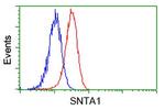 SNTA1 Antibody in Flow Cytometry (Flow)