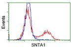 SNTA1 Antibody in Flow Cytometry (Flow)