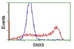 SNX8 Antibody in Flow Cytometry (Flow)