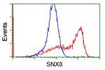 SNX8 Antibody in Flow Cytometry (Flow)