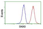 SNX8 Antibody in Flow Cytometry (Flow)