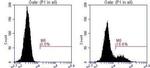 SNX9 Antibody in Flow Cytometry (Flow)