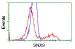 SNX9 Antibody in Flow Cytometry (Flow)