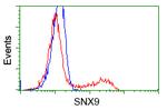 SNX9 Antibody in Flow Cytometry (Flow)