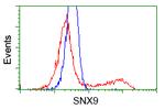 SNX9 Antibody in Flow Cytometry (Flow)