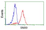 SNX9 Antibody in Flow Cytometry (Flow)