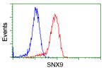 SNX9 Antibody in Flow Cytometry (Flow)