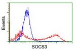 SOCS3 Antibody in Flow Cytometry (Flow)
