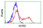 SORD Antibody in Flow Cytometry (Flow)