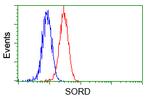 SORD Antibody in Flow Cytometry (Flow)