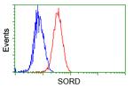 SORD Antibody in Flow Cytometry (Flow)